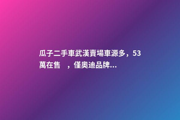 瓜子二手車武漢賣場車源多，5.3萬在售，僅奧迪品牌就有3000多輛